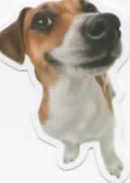 Wacky Dogs