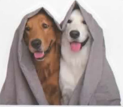 Wacky Dogs