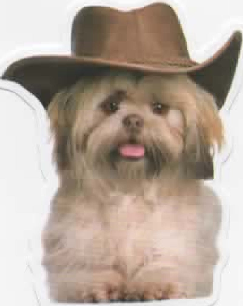Wacky Dogs