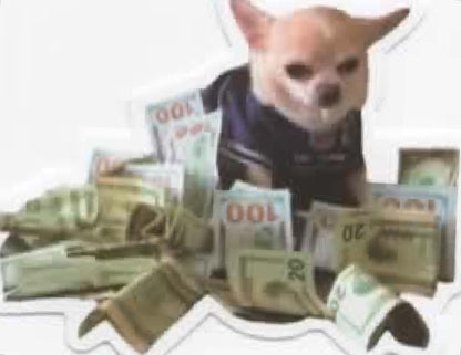 Wacky Dogs