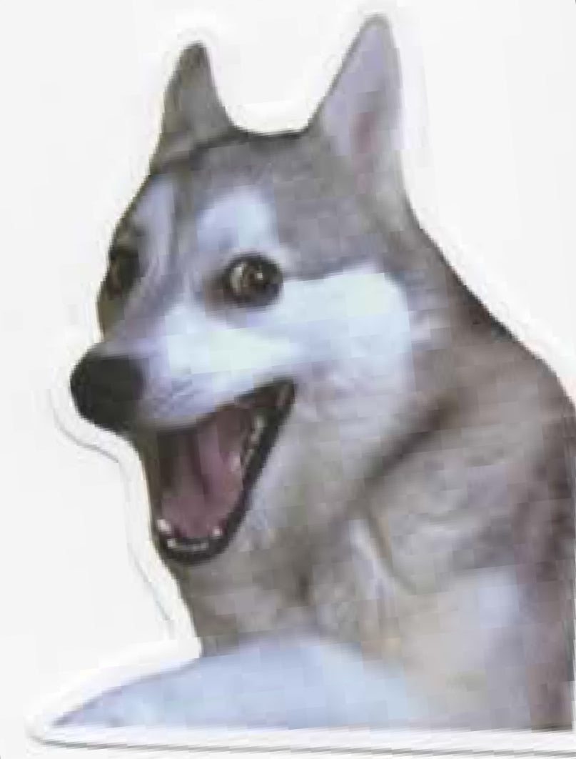 Wacky Dogs
