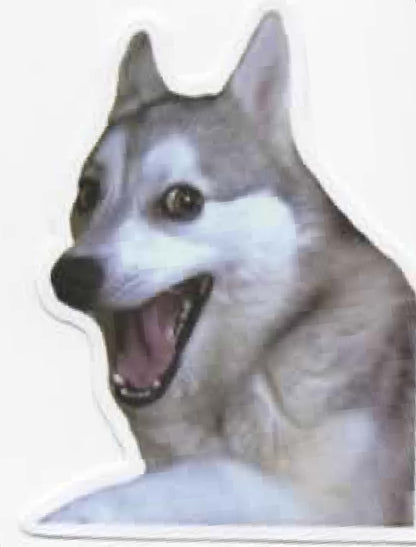 Wacky Dogs