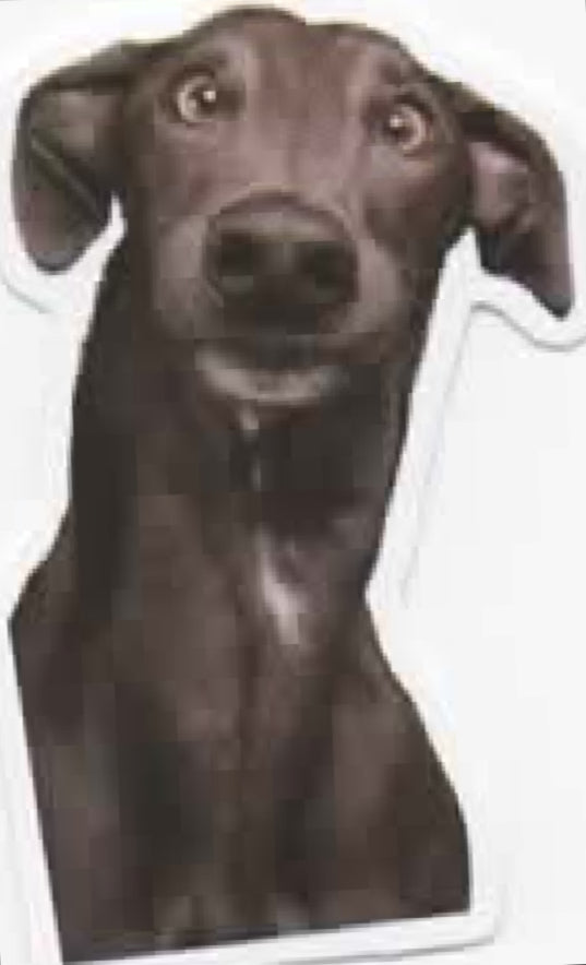 Wacky Dogs