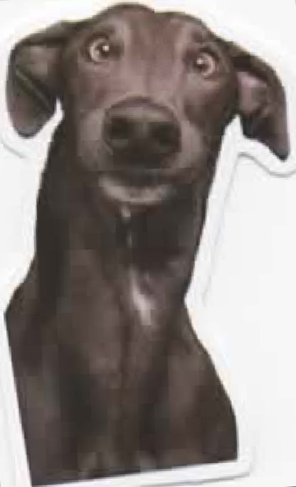 Wacky Dogs