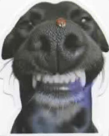 Wacky Dogs