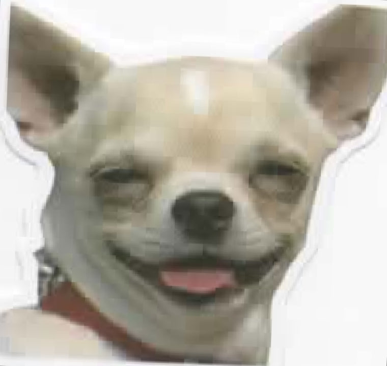 Wacky Dogs
