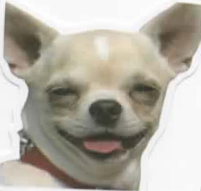 Wacky Dogs