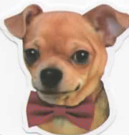 Wacky Dogs