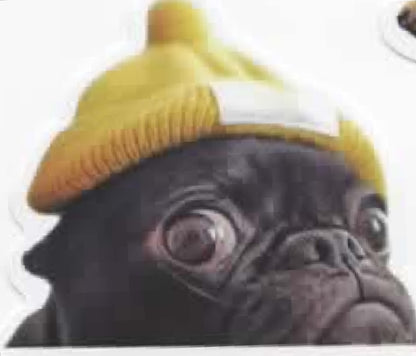 Wacky Dogs