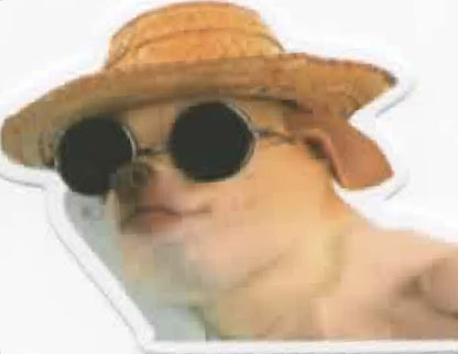Wacky Dogs