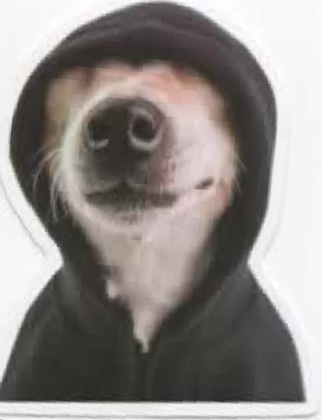 Wacky Dogs