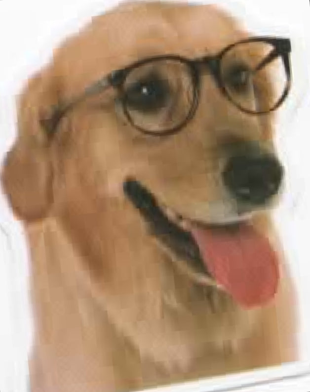Wacky Dogs