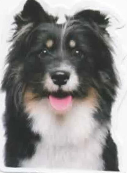 Wacky Dogs