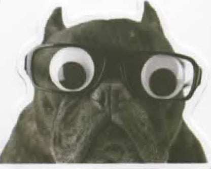 Wacky Dogs