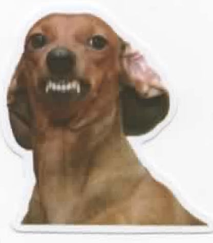 Wacky Dogs