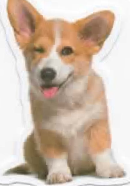 Wacky Dogs