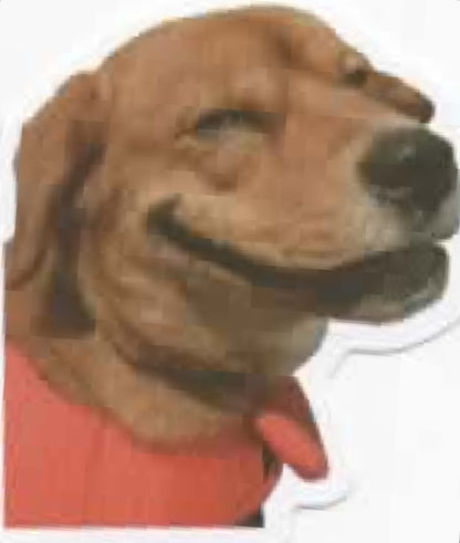 Wacky Dogs