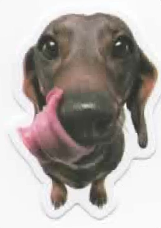 Wacky Dogs