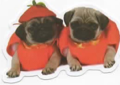 Wacky Dogs
