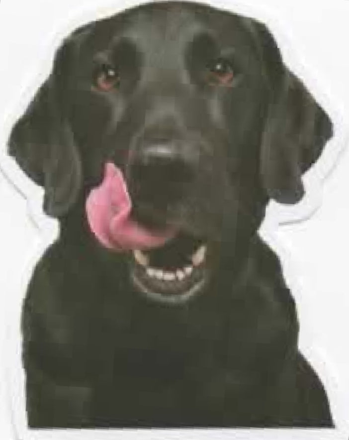 Wacky Dogs