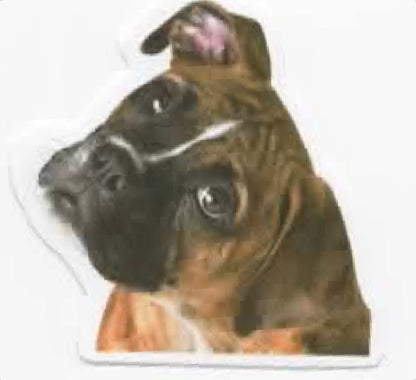 Wacky Dogs