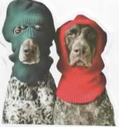 Wacky Dogs