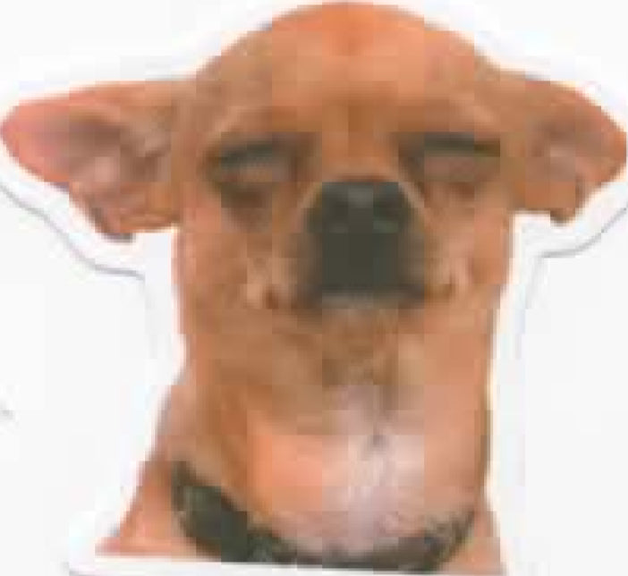 Wacky Dogs