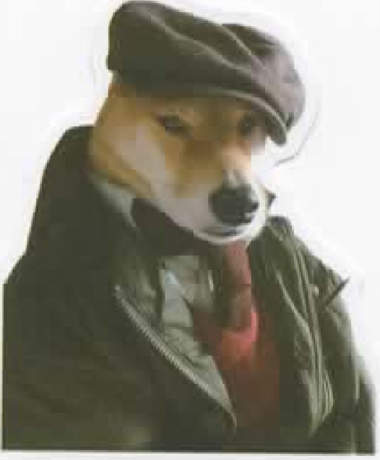 Wacky Dogs